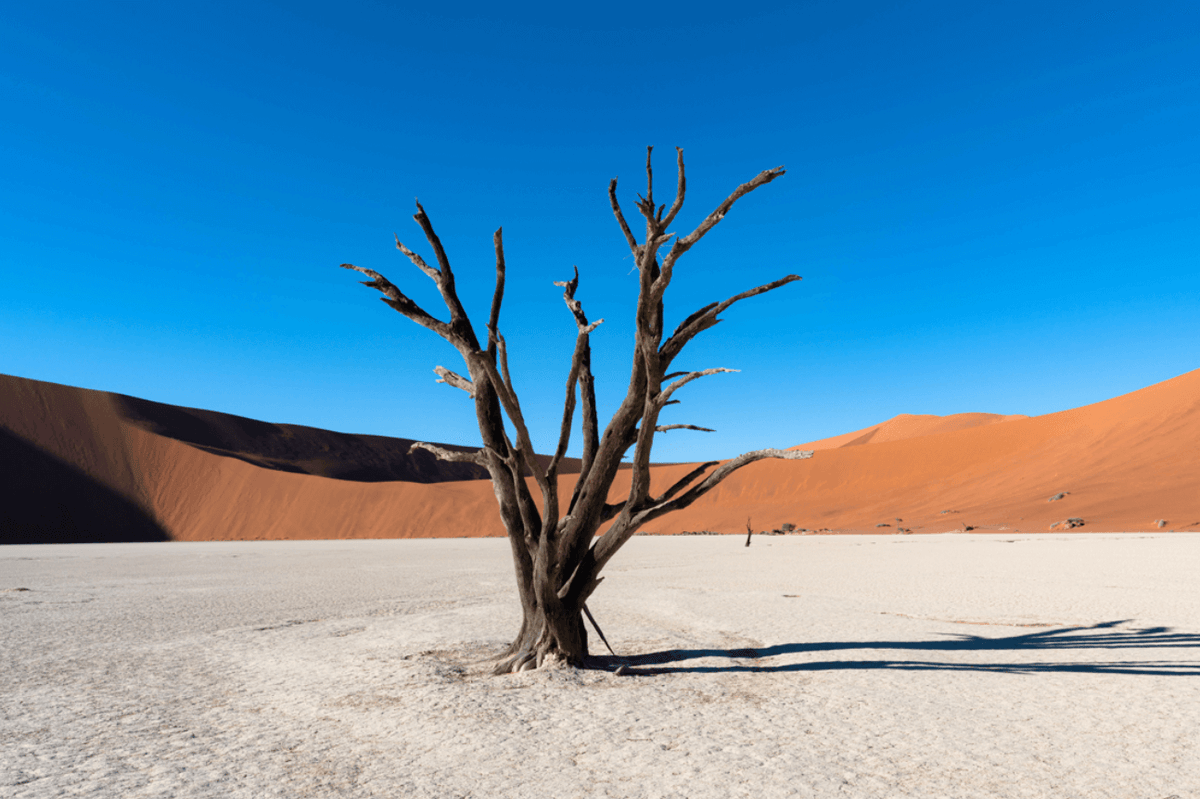 Best Time To Visit Namibia | Travel Blog | goodtrip.co.uk – goodtrip®