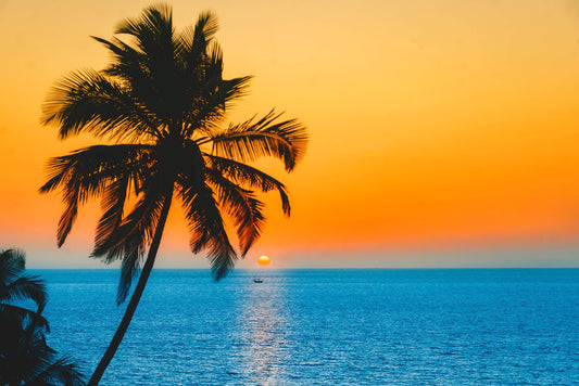 Goa Beach sunset India